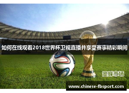 如何在线观看2018世界杯卫视直播并享受赛事精彩瞬间 如何在线观看2018世界杯卫视直播并享受赛事精彩瞬间