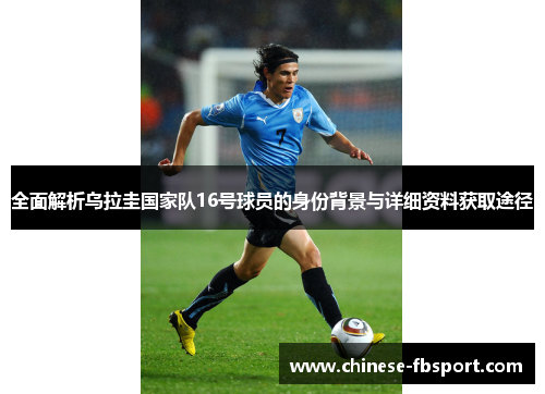 全面解析乌拉圭国家队16号球员的身份背景与详细资料获取途径 全面解析乌拉圭国家队16号球员的身份背景与详细资料获取途径