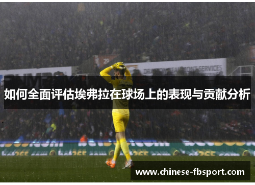 如何全面评估埃弗拉在球场上的表现与贡献分析 如何全面评估埃弗拉在球场上的表现与贡献分析