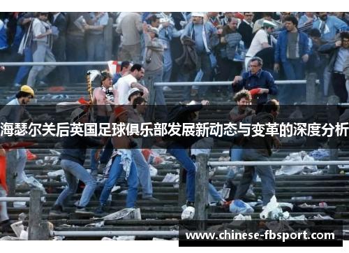 海瑟尔关后英国足球俱乐部发展新动态与变革的深度分析 海瑟尔关后英国足球俱乐部发展新动态与变革的深度分析