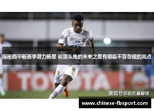 揭秘西甲新赛季潜力新星 崭露头角的未来之星有哪些不容忽视的亮点