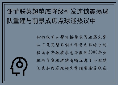 谢菲联英超垫底降级引发连锁震荡球队重建与前景成焦点球迷热议中